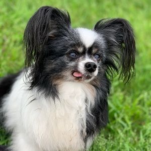 Meet your Posher, Ruth